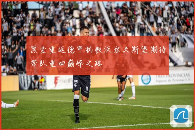 黑金重返德甲执教沃尔夫斯堡期待带队重回巅峰之路
